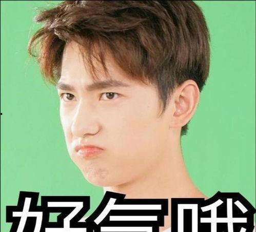 娱乐吃瓜张小寒,娱乐吃瓜界的风云人物