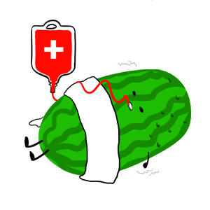 吃瓜群众百科百度,揭秘网络热议背后的真相与趣味